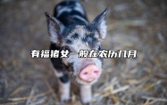 有福猪女一般在农历几月 十猪九富的出生月份