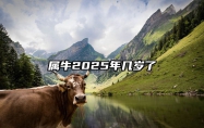 属牛2025年几岁了 1949属牛2025年运势完整版