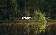 教皇逆位 塔罗牌教皇逆位