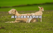属羊人被看不起的原因 属羊的为什么不受待见