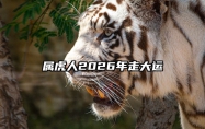 属虎人2026年走大运 属虎人2026年走大运好吗