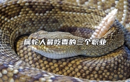 属蛇人最吃香的三个职业 属蛇的人最适合什么职业