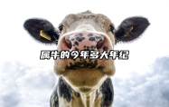 属牛的今年多大年纪 1961出生属牛人的2025全年运势
