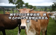 属牛2025真爱出现，属牛人2025年爱情运势怎么样 属牛人2025年全年运势详解