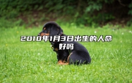 2010年1月3日出生的人命好吗 五行查询