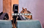 属鼠不宜去的城市 属鼠不宜去的城市名字