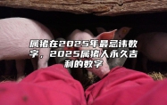 属猪在2025年最忌讳数字，2025属猪人永久吉利的数字 属猪的2025年多少岁