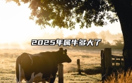 2025年属牛多大了 不同年龄段属牛人运势