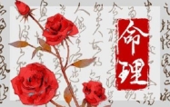 四两八钱男命一生总结 四两八钱男命一生命运