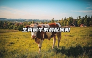 生肖属牛的最配属相 属牛的生肖配对