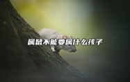 属鼠不能要属什么孩子 谁最旺属鼠人