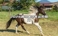 2026属马本命年运势如何 2026属马什么命运如何