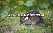 能够让属鼠女更加兴旺的生肖 属鼠女的贵人属相