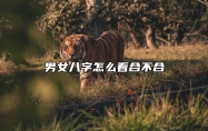 男女八字怎么看合不合 男女八字怎么看合不合