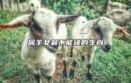 属羊女最不能碰的生肖 属羊女最不能碰的生肖是什么