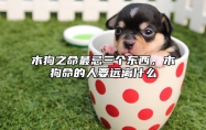 木狗之命最忌三个东西，木狗命的人要远离什么 木狗命要找什么命最好