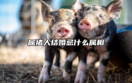 属猪人结婚忌什么属相 属猪结婚忌讳什么属相有哪些讲究