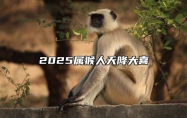 2025属猴人天降大喜 生肖猴2025年运势