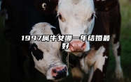 1997属牛女哪一年结婚最好 97属牛男正缘在哪一年