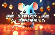 属鼠一生有几大坎，属鼠人一生的劫难是什么 属鼠的人一辈子的命运