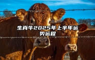 生肖牛2025年上半年运势运程