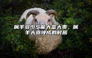 属羊多少岁能大富大贵，属羊大器晚成的时辰 属羊多大呢