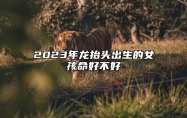 2023年龙抬头出生的女孩命好不好 性格幸运聪明聪慧