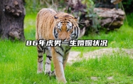 86年虎男一生婚姻状况 1986年虎男一生婚姻状况