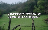 2024年农历11月剖腹产吉日查询,哪几天可以剖腹产 今日适合剖腹产吗