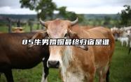 85牛男婚姻最终归宿是谁 男85年属牛婚姻状况
