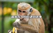 属猴在几月份遇到丧事 2025属猴人躲不过去的大难