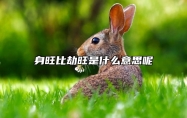 身旺比劫旺是什么意思呢？