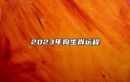 2023年狗生肖运程 整体财运较为动荡