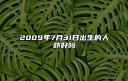 2009年7月31日出生的人命好吗 八字事业财运、感情婚姻