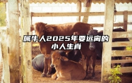 属牛人2025年要远离的小人生肖