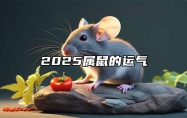 2025属鼠的运气 属鼠2025年蛇年运势