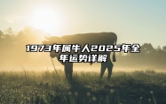 1973年属牛人2025年全年运势详解