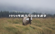 1954年属马几月出生最享福 1954年属马人什么命