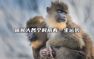 属猴人各个时辰看一生运势 属猴各个时辰命运