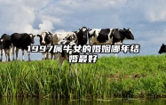 1997属牛女的婚姻哪年结婚最好 1997属牛女的婚姻哪年结婚最好吉利