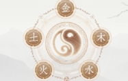 辛卯日五行属什么 辛卯日出生的人的命运