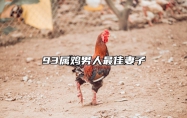 93属鸡男人最佳妻子 93鸡男的最佳婚配表