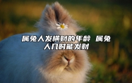 属兔人发横财的年龄 属兔人几时能发财 属兔的什么时候发大财