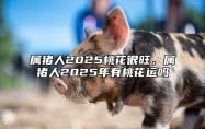 属猪人2025桃花很旺，属猪人2025年有桃花运吗 属猪的2025年多少岁