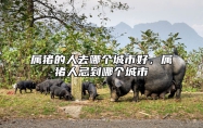 属猪的人去哪个城市好，属猪人忌到哪个城市 属猪的人去那些地方财运好点
