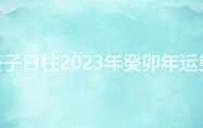 壬子日柱2023年癸卯年运势 壬子日柱走什么大运好