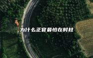 为什么正官最怕在时柱 为什么正官最多但是是伤官格