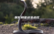 属蛇和谁越处越旺 属蛇和谁越处越旺夫