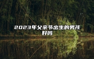 2023年父亲节出生的男孩好吗 注定拥有光明未来