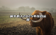 属牛的人2025年综合运程 2025年蛇年属牛的人运势